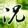女子胖了28公斤查出两种癌
